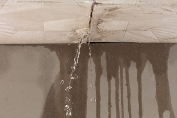 Professional Sewage Cleanup technician working in Huntington, VA